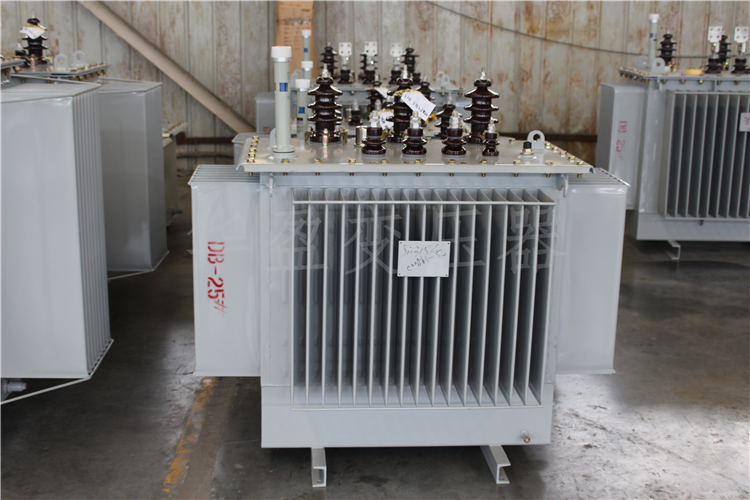 孝感S20-800kVA/10kV/0.4kV变压器